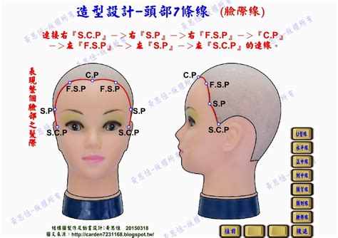 頭部七條基準線中，側頭線是|髮型設計系列:15個基準點及7條主分區線的位置與作用。